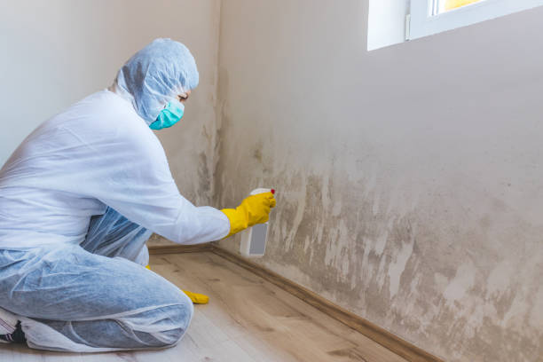 Licensed Commercial Mold Remediation service in Asbury Park, NJ - WQB Mold Removal
