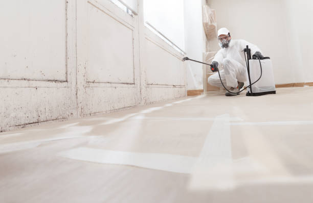 24/7 Emergency Commercial Mold Remediation experts in Asbury Park, NJ
