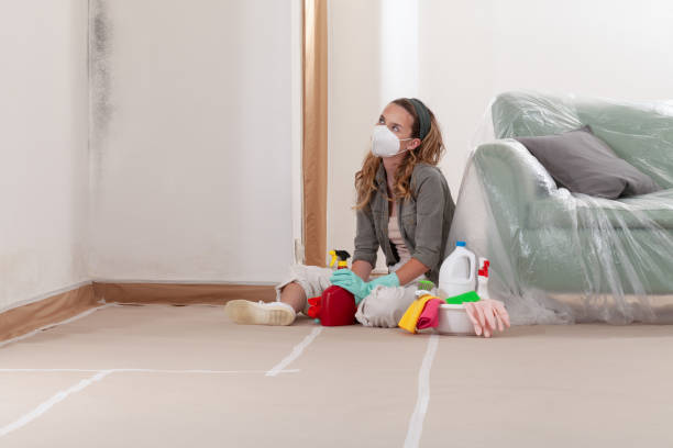 Reliable Commercial Mold Remediation contractor in Asbury Park, NJ by WQB Mold Removal